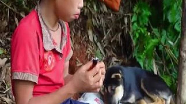 #真实的乡村生活就应该是这样的 #新农人计划2024农村生活 #农村的春天有多忙碌 #木屋建造完整版