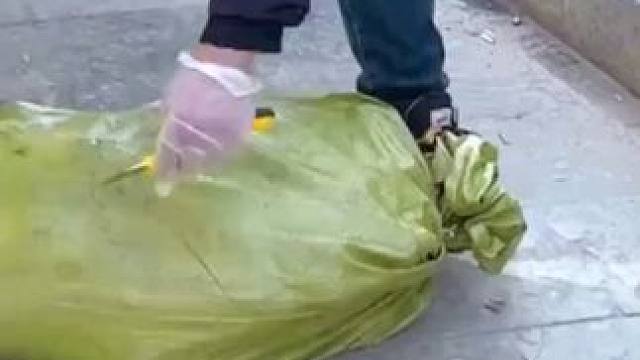 #睡莲 开花非常好看漂亮，一年四季常青，非常好养，浇浇水就可以#花卉绿植#好物推荐#爱生活爱养花#抖