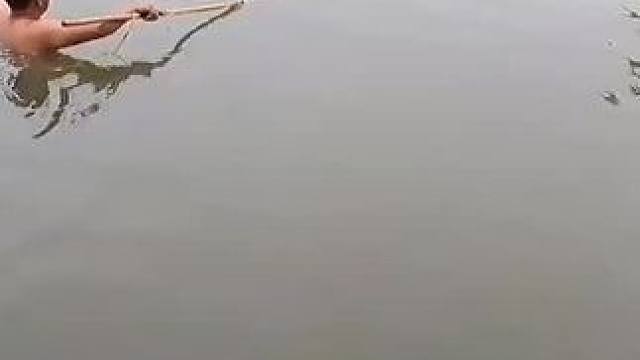 #抓鱼高手决战抓鱼王 #为什么渔民在撒网前都要在河里扔根木头呢 #捞鱼也是技术活 #网鱼在河里面弄出