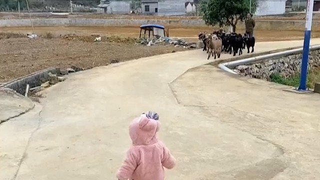 识时务者为活羊