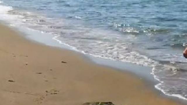 歌曲：逍遥自在