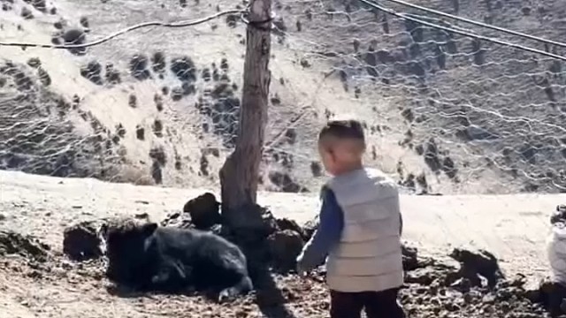 这牛不是定不准，是舍不得