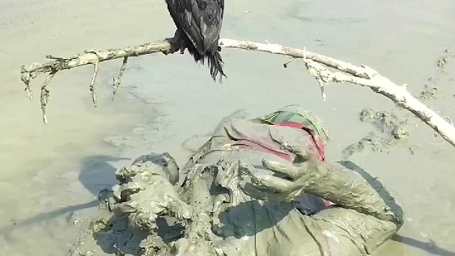 主打一个守株待兔