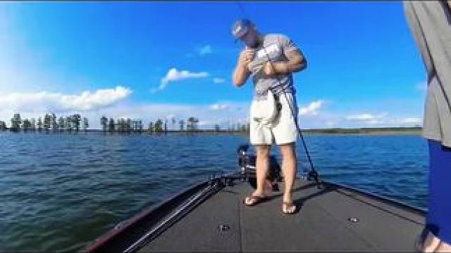 我发布了一个新视频，快来围观吧！