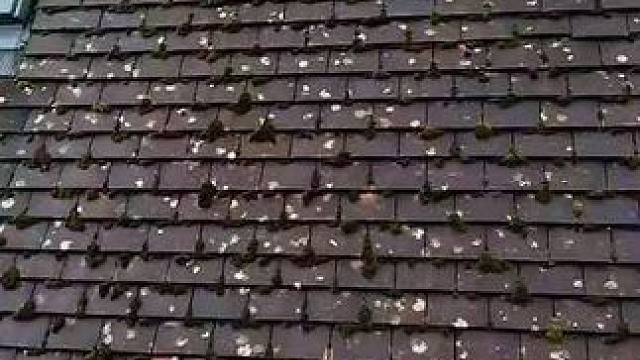 我发布了一个新视频，快来围观吧！