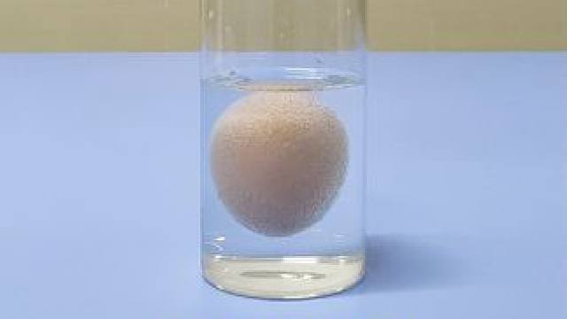 #创作灵感 寻找鸡蛋浮起来的原因#物理实验 #有趣科学小实验 #实验是学习物理的好