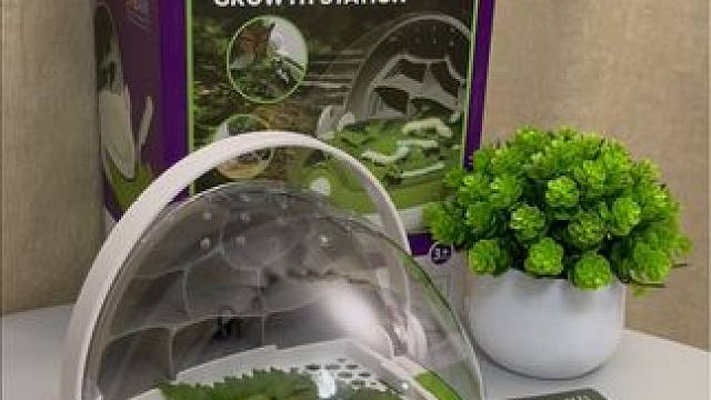 又到春暖花开饲养蚕宝宝的时候了，这是一个可以观察的蚕宝养育舱#养蚕宝宝