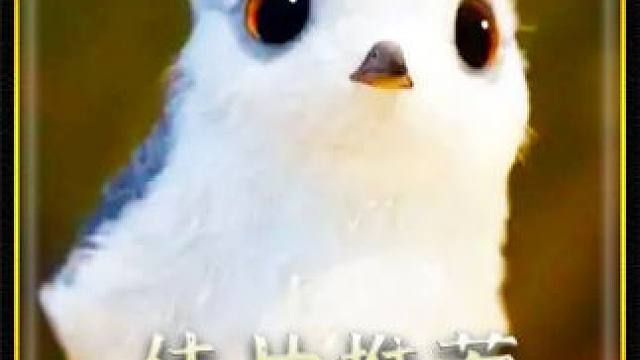 另类的眼光看世界，会发现不一样的东西 #宅家dou剧场  #电影解说  #人性 