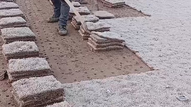 农村人的生活就是这样