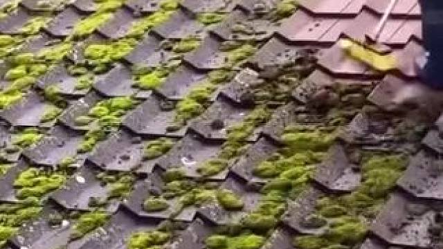 我发布了一个新视频，快来围观吧！