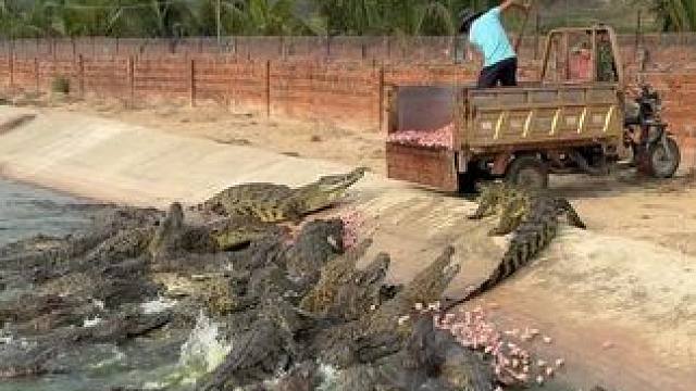 我发布了一个新视频，快来围观吧！