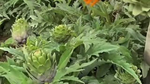 #一定要看到最后