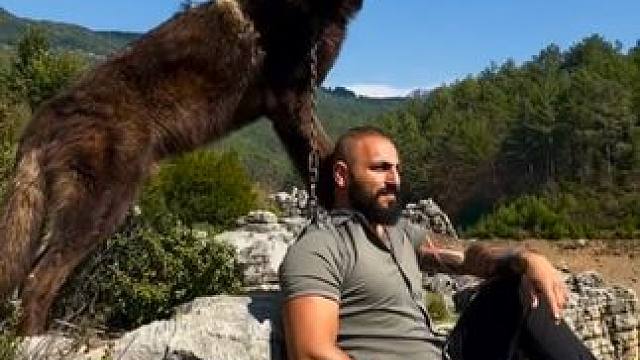 宠物狼#国外视频分享 #奇妙的动物 #萌宠