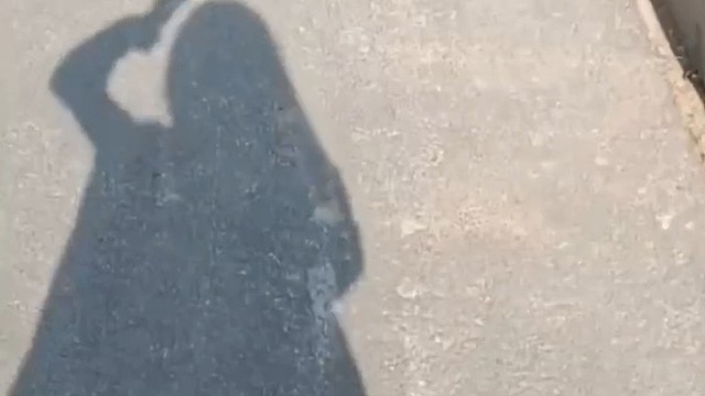 阳光不错