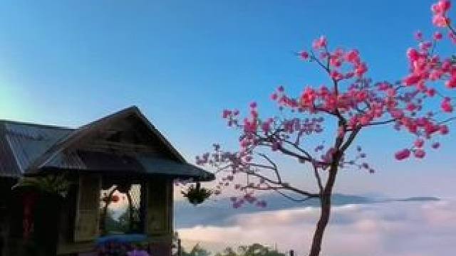 即使短暂，也要赴你一面之约，大拉特云山 #云雾缭绕人间仙境 #云海 #治愈系风景