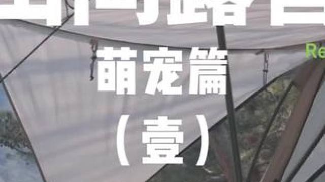 山间露营：萌宠篇（壹）
带着修狗到山间撒个野，呼吸下新鲜空气~
 #露营 #萌宠 #助眠 #户外露营