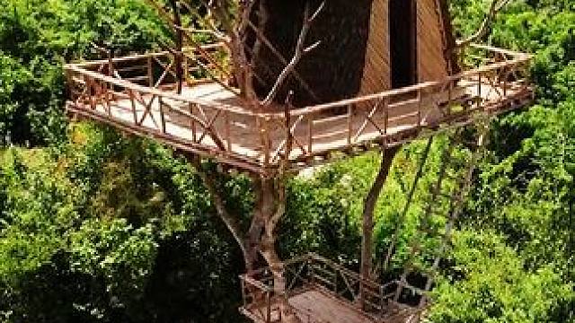 荒野建造:为了成为有房一族，兄弟俩在15米高的枯树顶打造空中别墅#新年灵感三分钟 #野外建造 #网恋