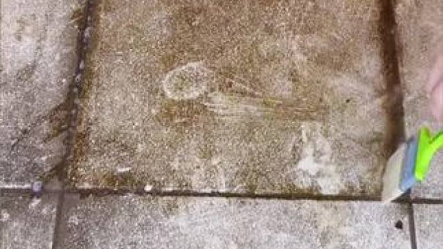 想要产品的看置顶视频