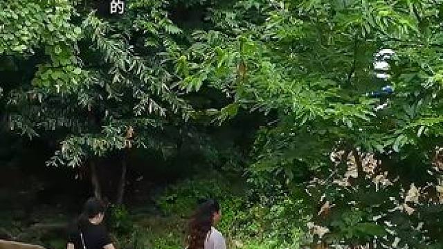 九峰山景区 #养在九峰山 九峰山上有兜卖风筝的小贩，他们在预售春天。#随走随拍大自然的美 #随走随拍