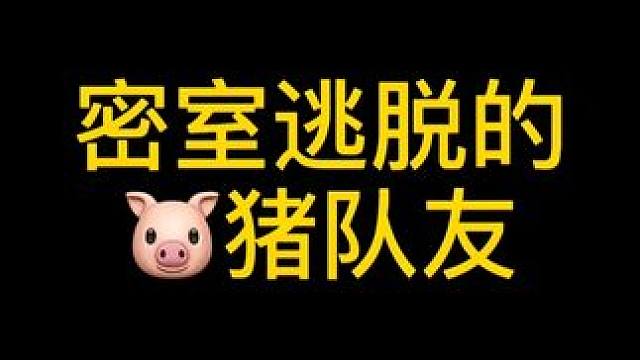 猪队友 #沈阳密室逃脱 #密室逃脱 #周末去哪儿