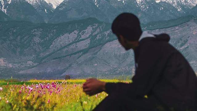 你很努力了，想要那个全靠自己网上搜