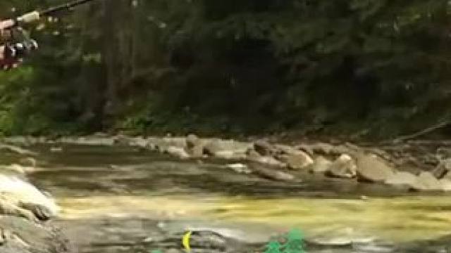 我发布了一个新视频，快来围观吧！