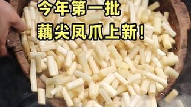 今年头一批！你们心心念念的#藕尖 #无骨鸡爪 小黄车库存有限，错过就等预售咯~