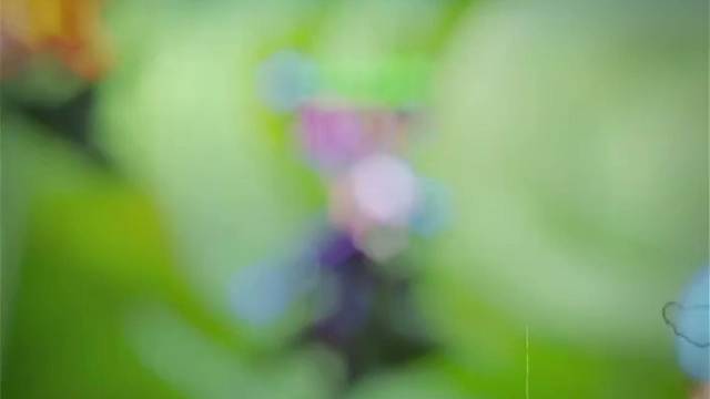 “我挺能装的，所以还需要演员吗”#金铲铲