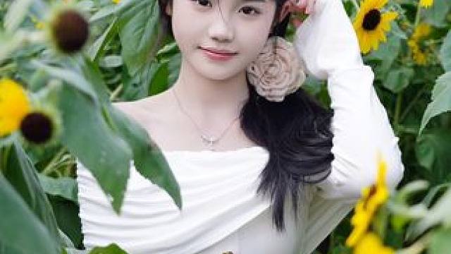 万绿园向日葵，全海口的女生都来了吧#向日葵花海 #向日葵 #海口打卡指南 #抓人拍照 #给陌生人拍照