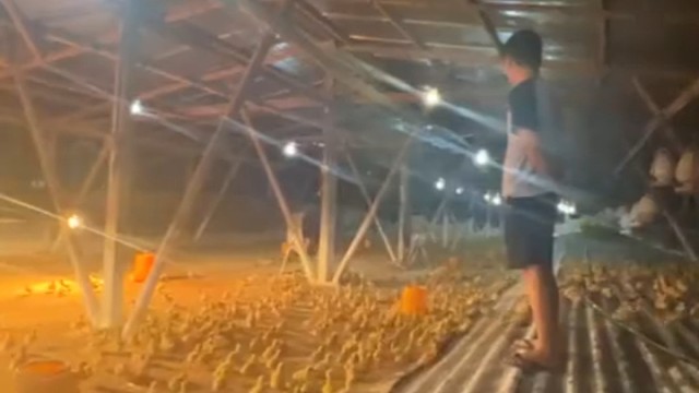 想必这位就是传说中的‘禽始皇’了，久仰大名！