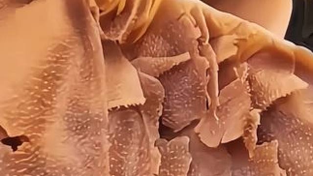 #深夜放毒系列之让你饿的睡不着 #做菜我是认真的努力做好每一道菜 #吃货的世界唯有美食不可辜负