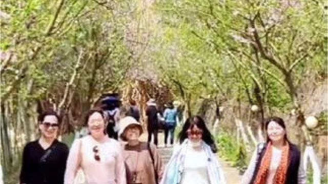 #趁着还没变老，趁着阳光正好 #阳春三月春暖花开 #时光不老我们不散 #放飞心情拥抱大自然