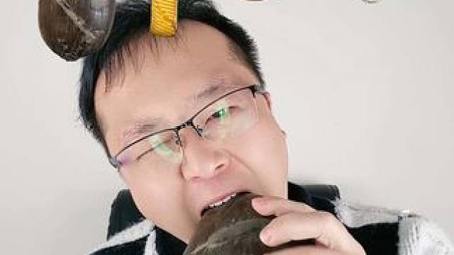 相当唬人的4款超硬面包 #从来没吃过这么好吃的东西 #美食测评 #忘不了的童年味道 #面包 #一般人