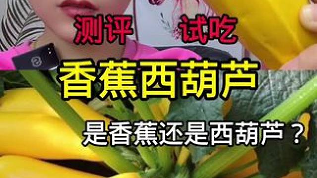 #测评 #试吃 #打假