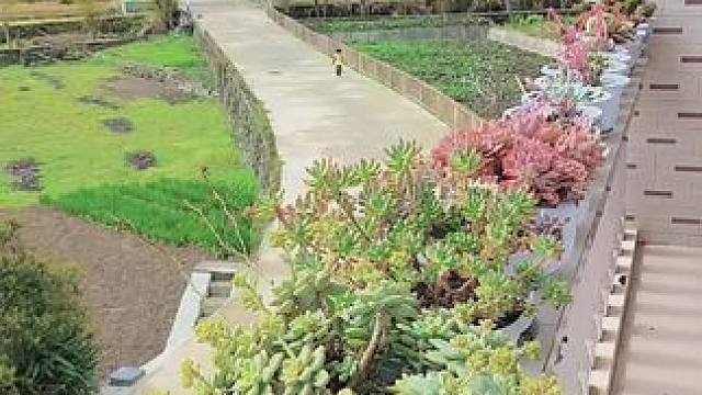 来自家门口的美景#大山深处自然美山清水秀好风光 #雨后的新鲜空气