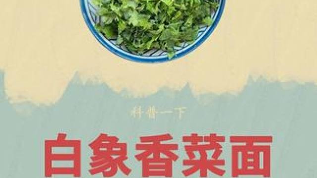为了实现香菜自由，他竟然承包了数百亩香菜地#香菜面 #白象香菜面 #加工过程#制作过程 #香菜的神仙