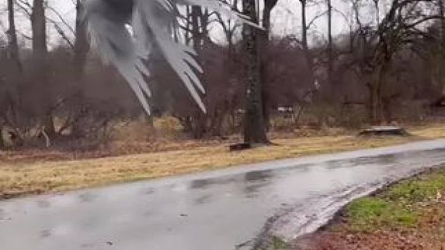 外星来客？
#召唤神兽 #异兽 #神奇的大自然 #万物有灵 #开开心心过春天