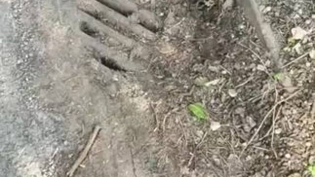 #一定要看到最后哦