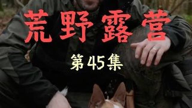 沉浸式体验户外达人野外露营 #野外生存 #野外建造 #荒野求生 #户外露营