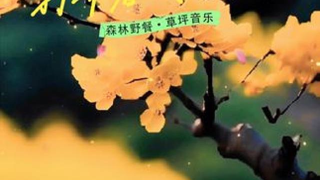 #生活的美无处不在 #感受大自然的气息和美景 #一景能有千万意 #春已至花已开愿山河无恙人间皆安 #