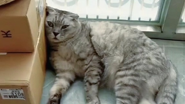 关系这么融洽了？