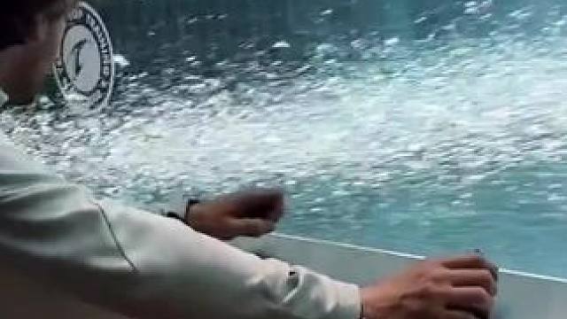 水下视角感受一下流速游泳池的水流自由泳逆流而上！#游泳打卡 #自由泳 #游泳打卡