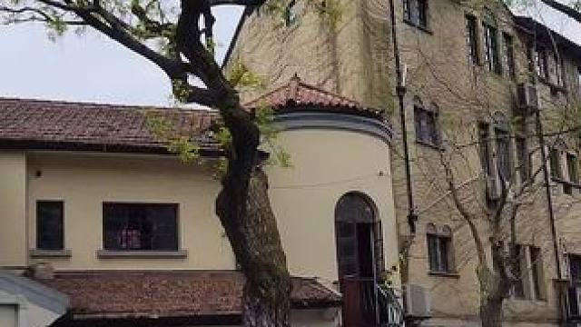 武康路上看到了春天的来临
#风里已经有春天的味道 #蝴蝶结阳台