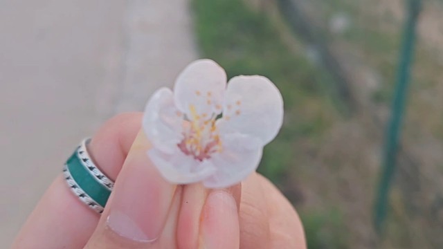 人攀明月不可得，月行却与人相随