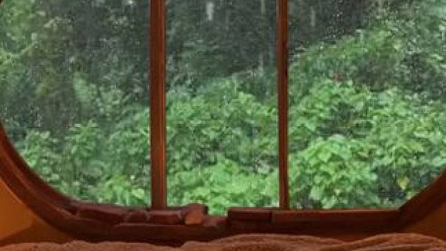 住在花园小屋，聆听着雨声，在这里安心入睡吧！ #白噪音 #助眠声音 #助眠视频 #雨声助眠