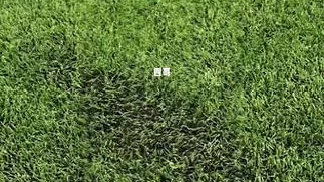 #唯有足球不可辜负 #dou来足球季 #足球鞋 #足球 #好鞋推荐 未来7天的战靴准备好了 你喜欢星