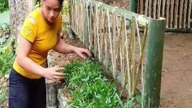 #野外生存技能 #野外生活纪录片 #农村原创视频 #野外生存 #户外求生技巧