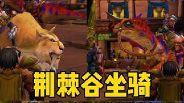 两个荆棘谷坐骑 荆棘谷坐骑和血月互刷队#魔兽世界 #魔兽世界怀旧服 #魔兽世界plus 探索赛季游戏