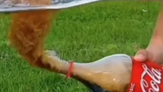 科学的力量有多强大，最后一个惊掉下巴#科学小实验 #趣味实验 #物理实验 #家庭小实验 #生活小实验