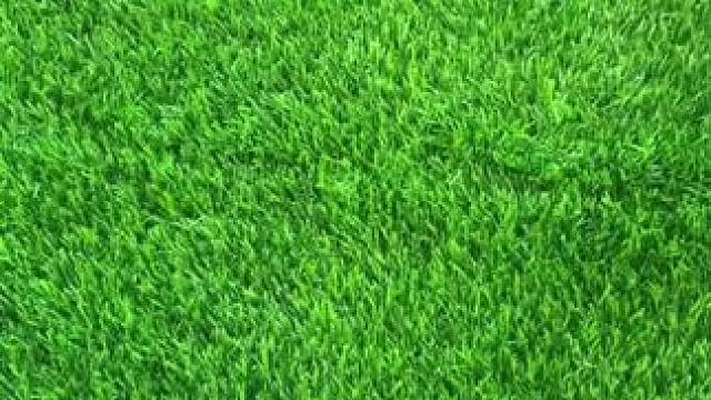 #唯有足球不可辜负 #dou来足球季 #足球鞋 #好鞋推荐 #足球 你喜欢星期几的呢？